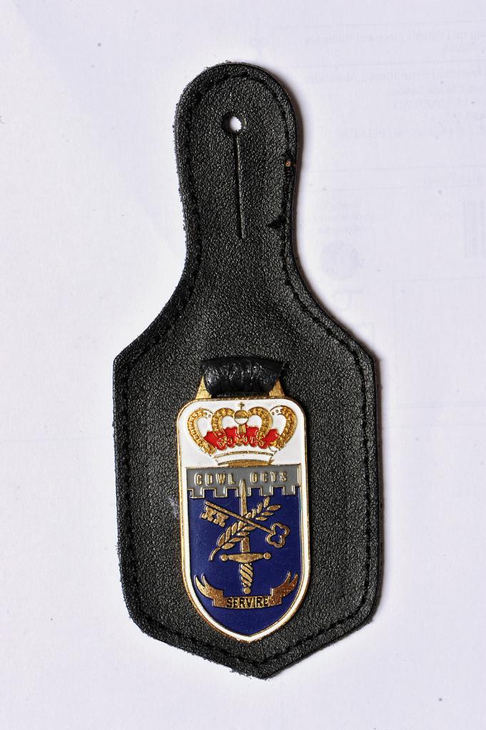 Centrale Dienst voor Wedden en Lonen - Borsthanger (1), Verzenden, Landmacht, Embleem of Badge