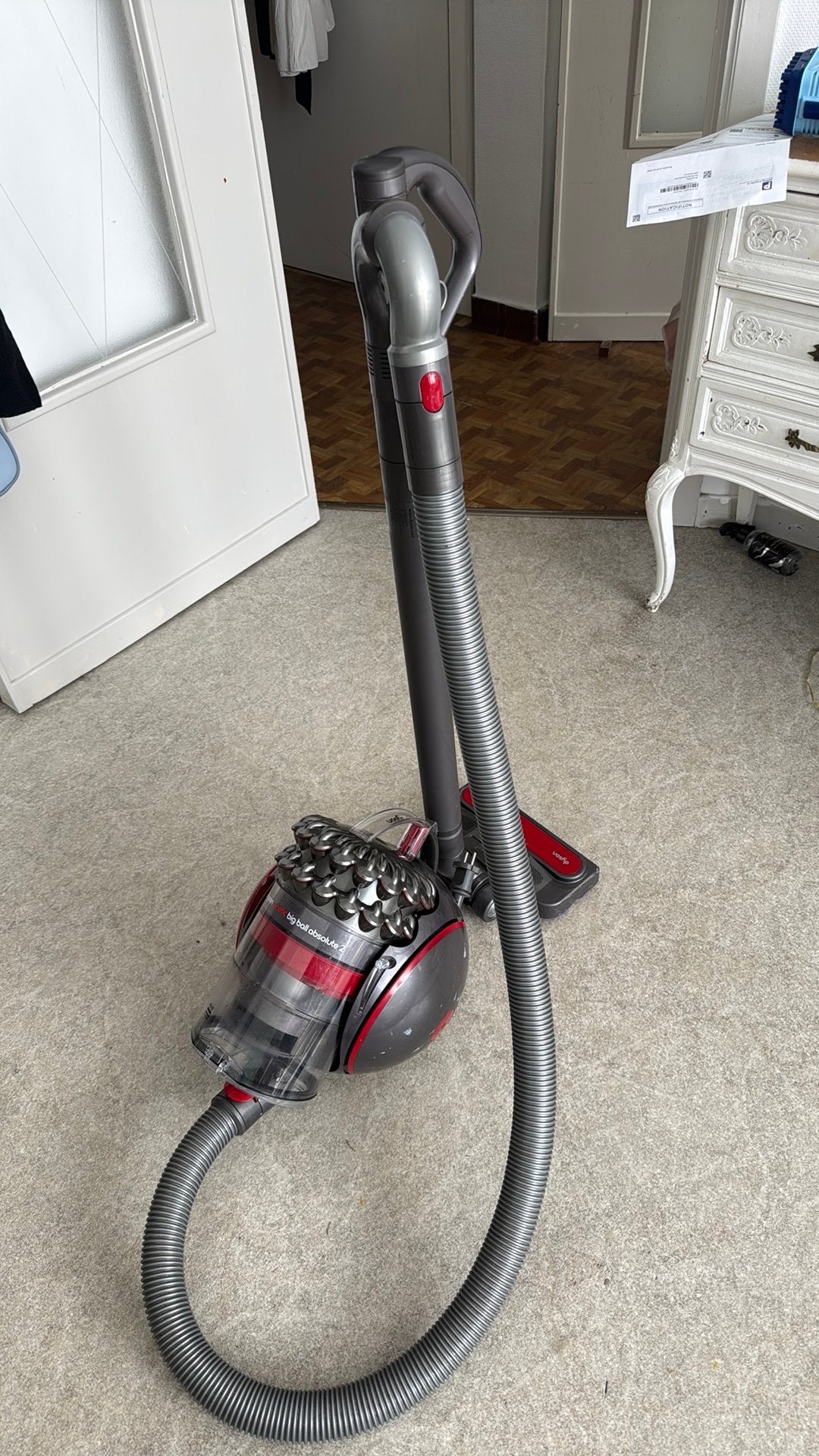 Dyson Big Ball Absolute 2, Elektronische apparatuur, Ophalen of Verzenden, Zo goed als nieuw, Dyson