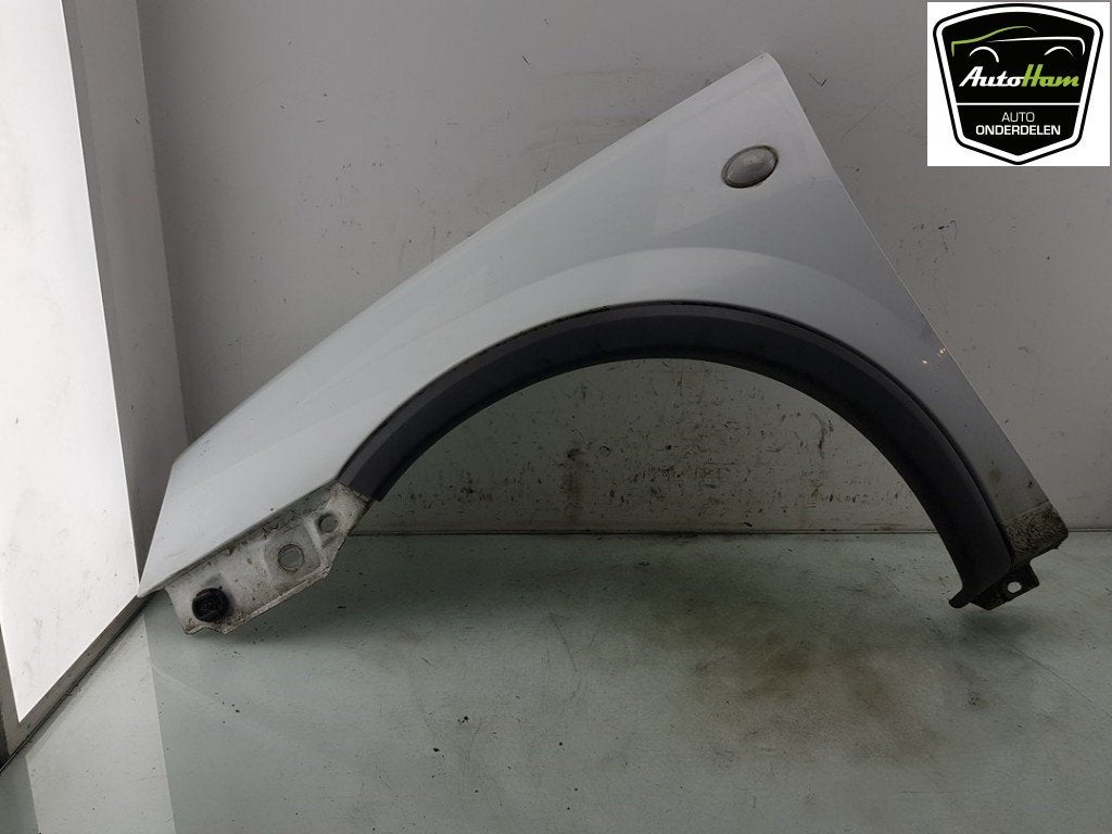 AILE AVANT GAUCHE Opel Combo (Corsa C) (01-2001/02-2012), Dhr. J. Ham, Opel, Utilisé, Avant