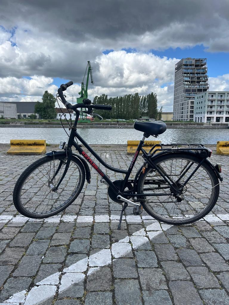 Dames fiets, Versnellingen, Schijfrem, Ophalen, Overige merken