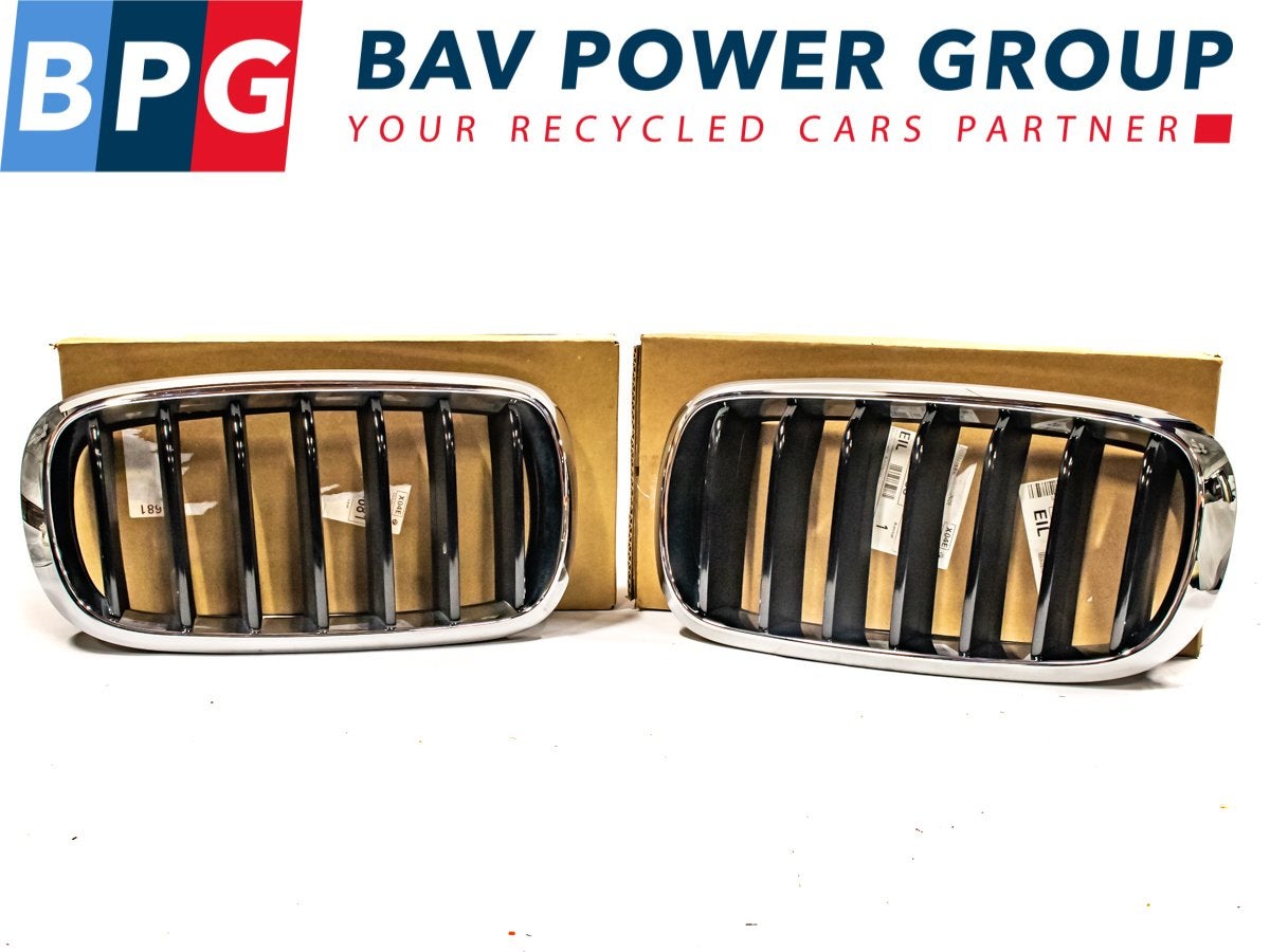 GRILLE ENSEMBLE ROOSTER NIEREN LINKS RECHTS BMW X5 (F15), Utilisé, BMW, Petuelring 130
80809  München, DE, Bayerische Motoren Werke AG