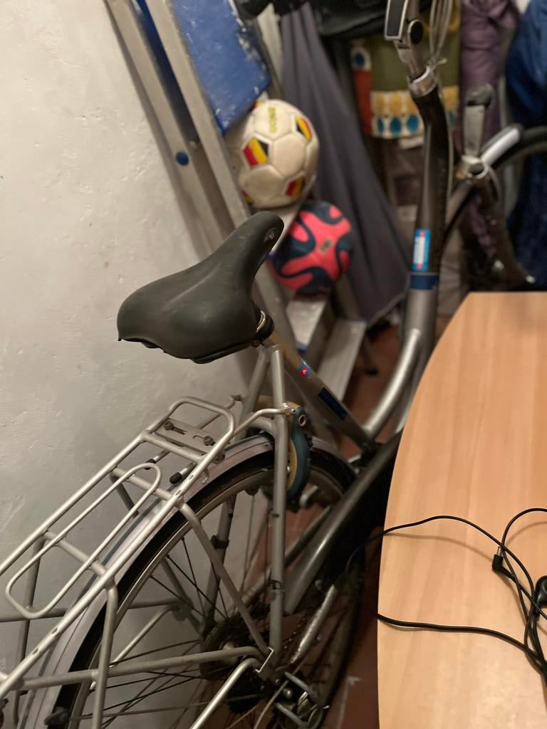 Batavus, Enlèvement
