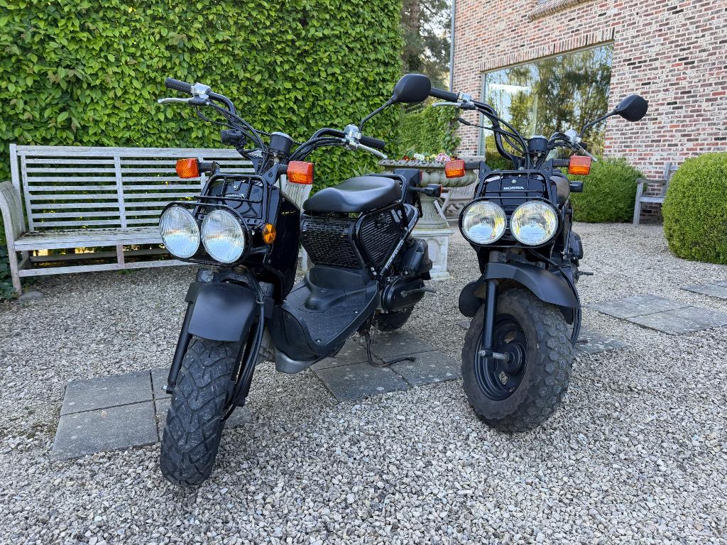 Honda Zoomer, Ophalen, Overige modellen, 50 cc, Klasse B (45 km/u)
