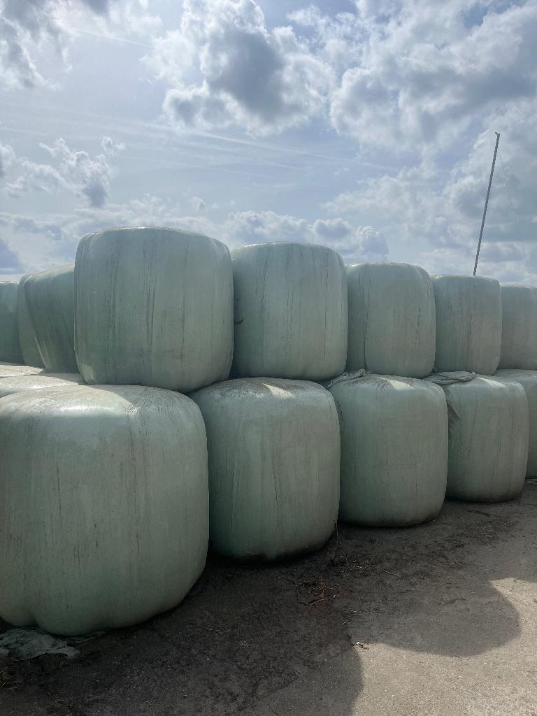 Maïsbollen en grasbollen, Zakelijke goederen, Landbouw | Veevoer, Ophalen