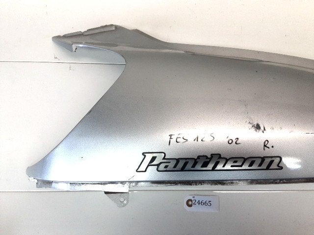 FES125 Pantheon 1997 - 2006 Honda Kuipdeel D1-55934, Motos
