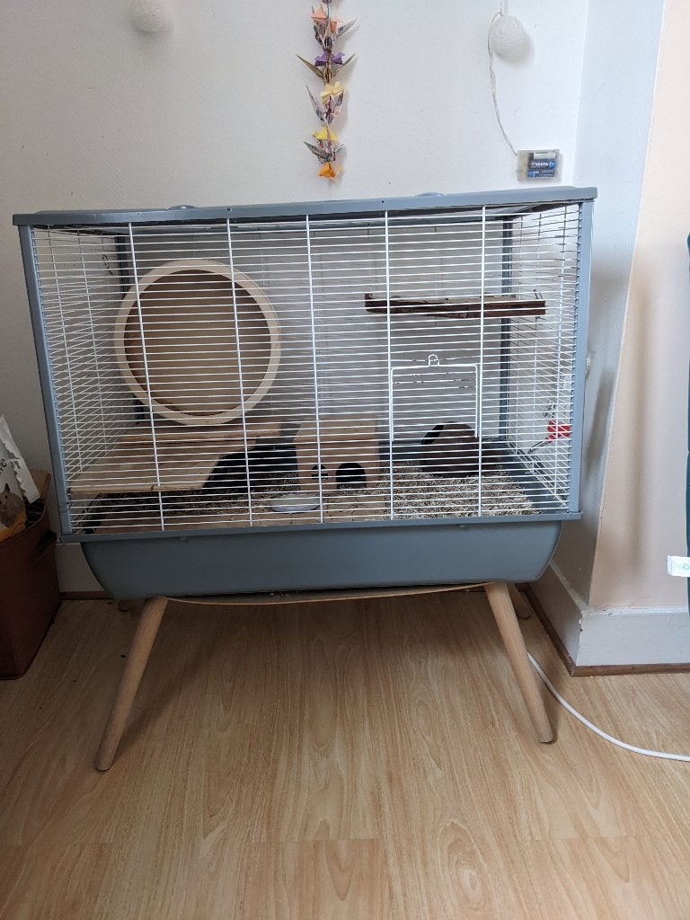 Cage et accessoires pour hamster/ gerbilles, Animaux & Accessoires, 75 à 110 cm, Cage, Enlèvement, Utilisé