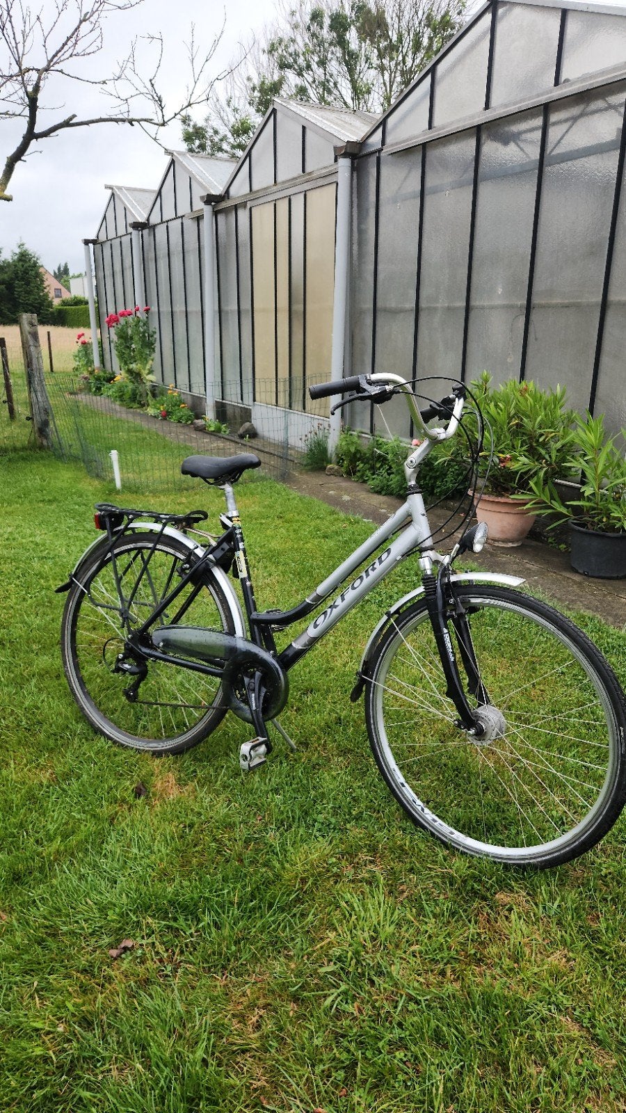 Oxford, Vélos & Vélomoteurs, Vélos | Femmes | Vélos pour femme