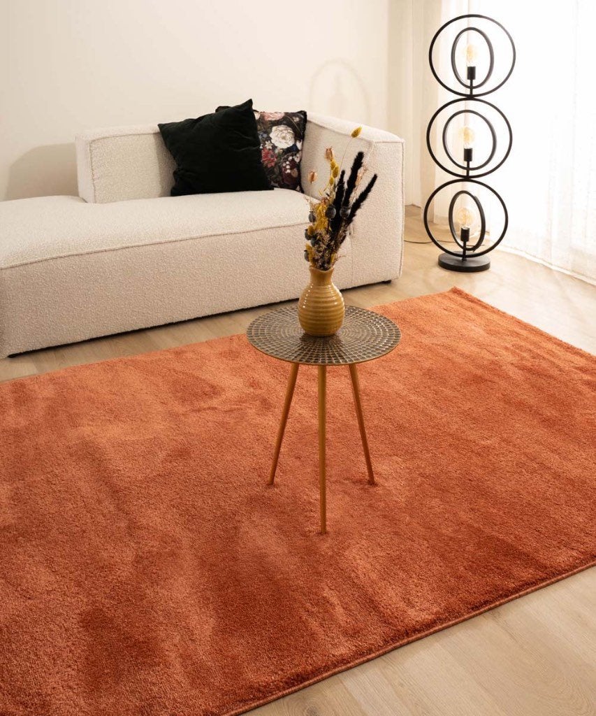 Tapijt - 200 x 300 cm - Terra, Huis en Inrichting, Stoffering | Tapijten en Vloerkleden, Ophalen, Gebruikt, Bruin, 200 cm of meer