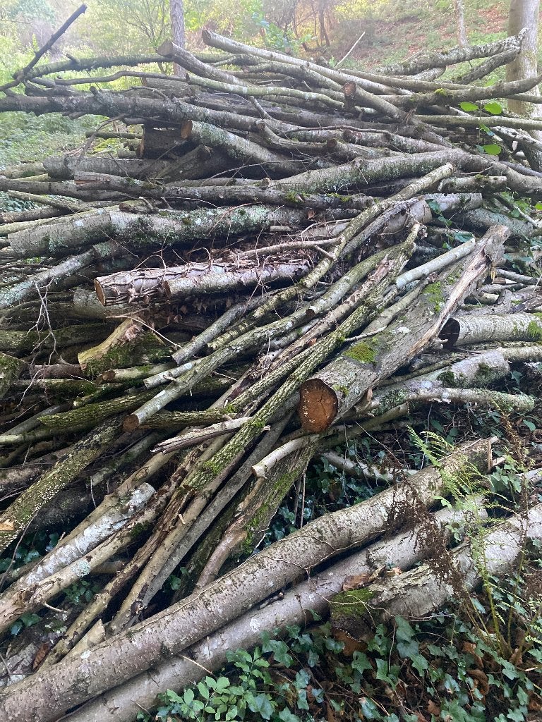 Bois pour chauffage à débiter, Ophalen