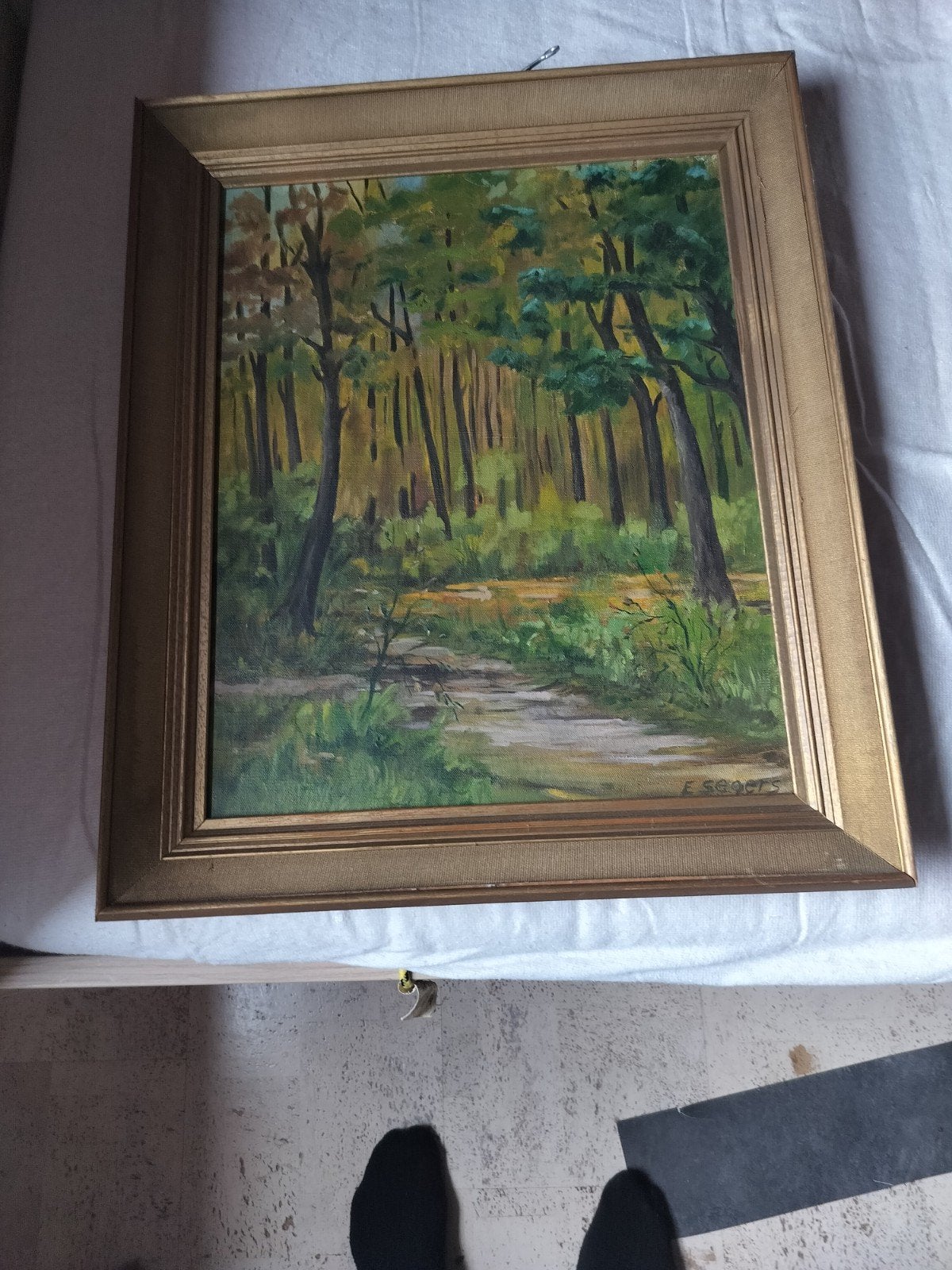 Hamme - werk van Etienne Segers ,- bomen in bos., Ophalen of Verzenden, Doek