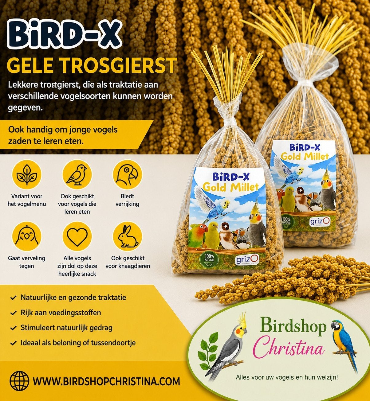 Millet jaune 1kg - Bird-X Grizo, Animaux & Accessoires, Oiseaux | Accessoires, Enlèvement