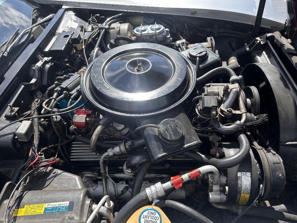 1981 Chevrolet Corvette C3, foto 11