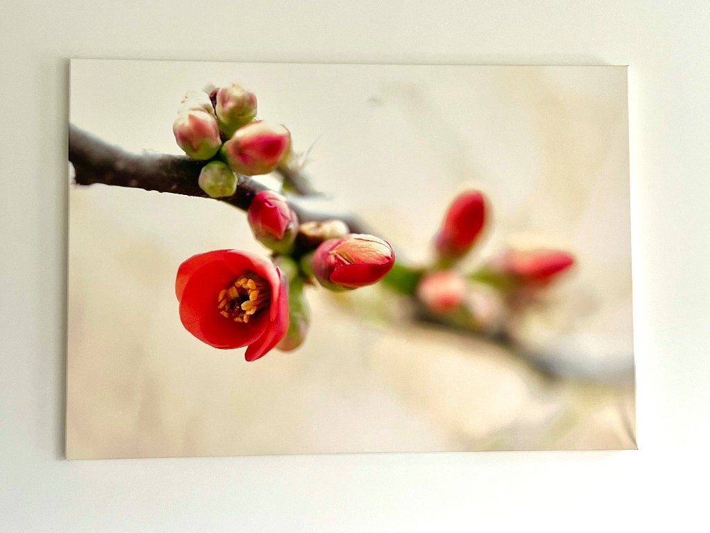Canvas  - eigen fotografie., Huis en Inrichting, Woonaccessoires | Schilderijen, Tekeningen en Foto's, Zo goed als nieuw, Print