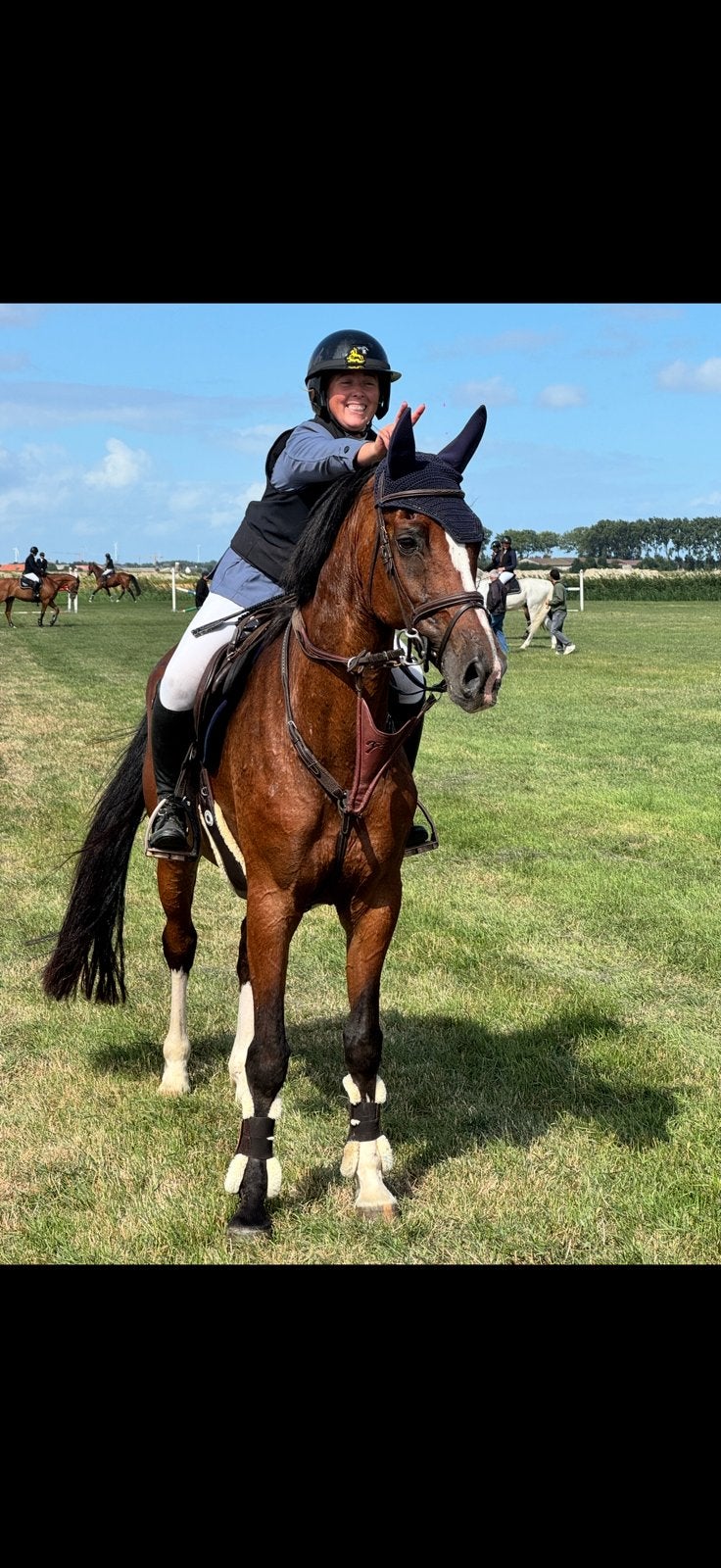 Merrie 10 jaar, Dieren en Toebehoren, Paarden, Merrie, Springpaard, Met stamboom, L