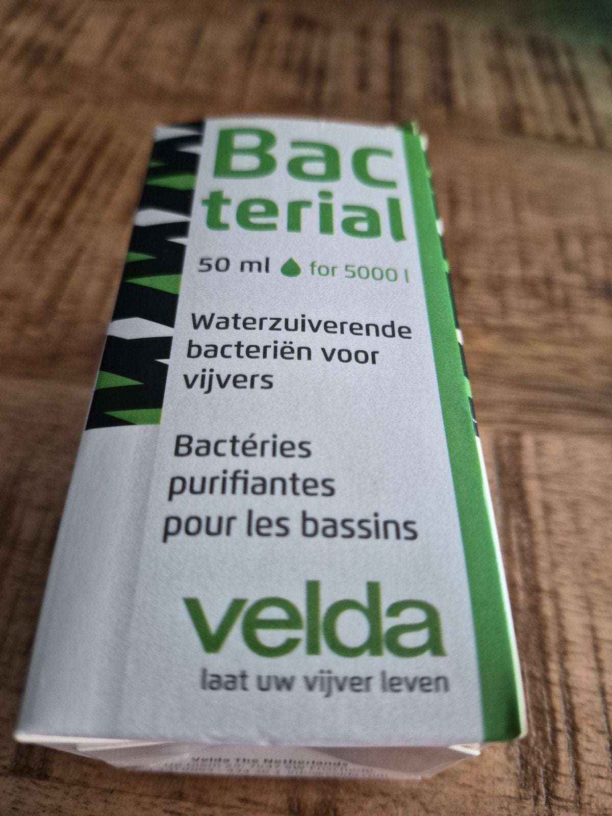 Bactéries de bassin