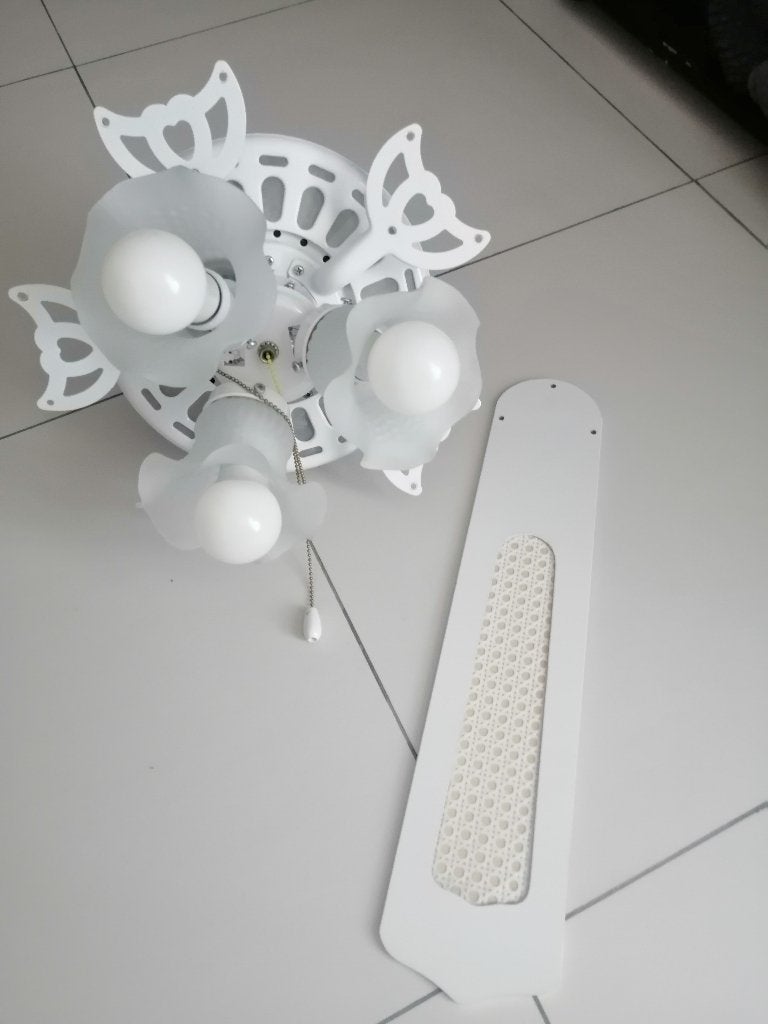Ventilateur de plafond, Electroménager, Enlèvement, Ventilateur de plafond