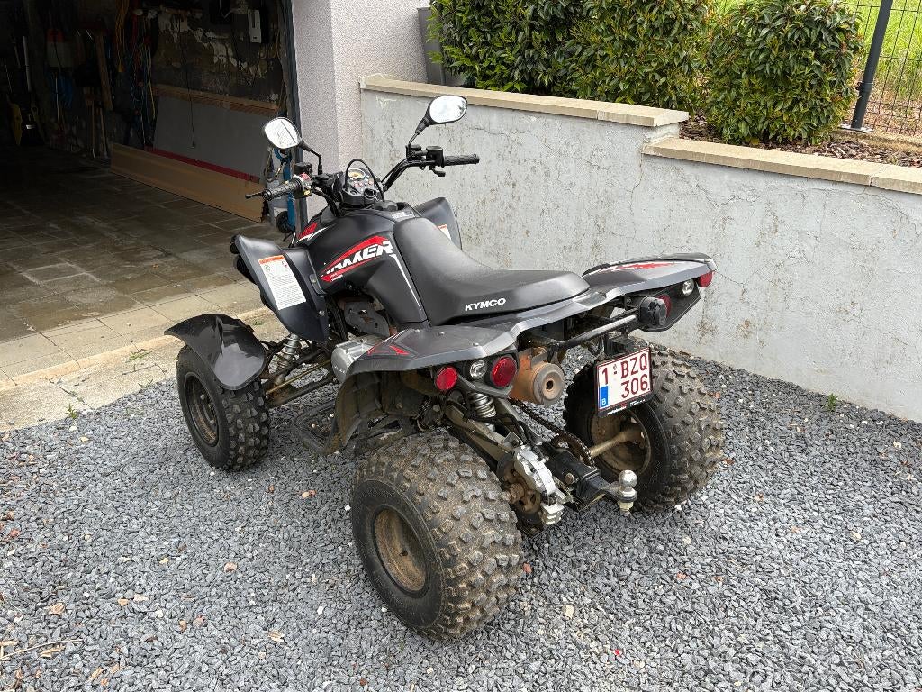 Kymco Maxxer 300 Quad, Motos, Quads & Trikes, 12 à 35 kW, 1 cylindre, Enlèvement