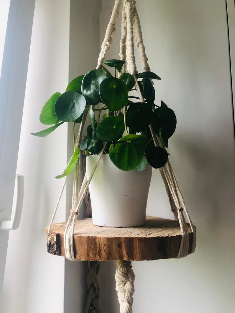 handmade flower hanger with a wooden base, Envoi, Neuf