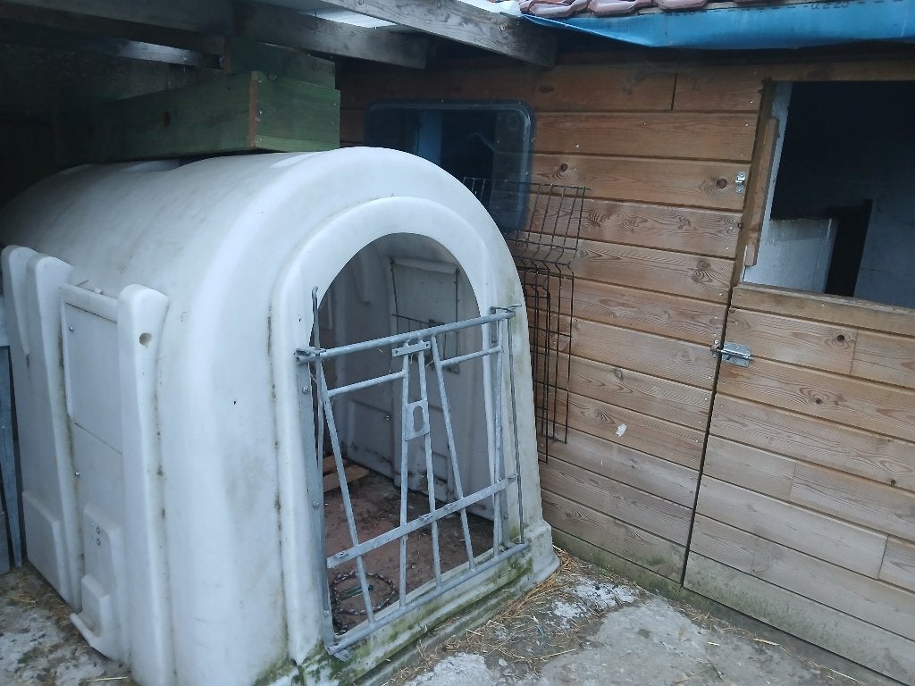 iglo schuilhut kalverhut