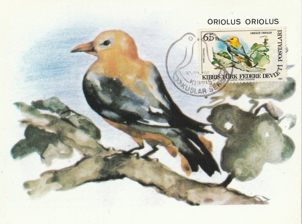 WIELEWAAL (  Met echte zegel op voorzijde ! ), Collections, Cartes postales | Animaux, Envoi, 1980 à nos jours, Non affranchie