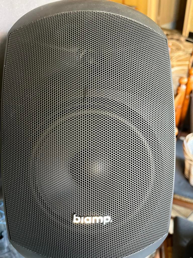 Kwalitatieve boxen Biamp, Audio, Tv en Foto, Luidsprekerboxen, Ophalen, Zo goed als nieuw