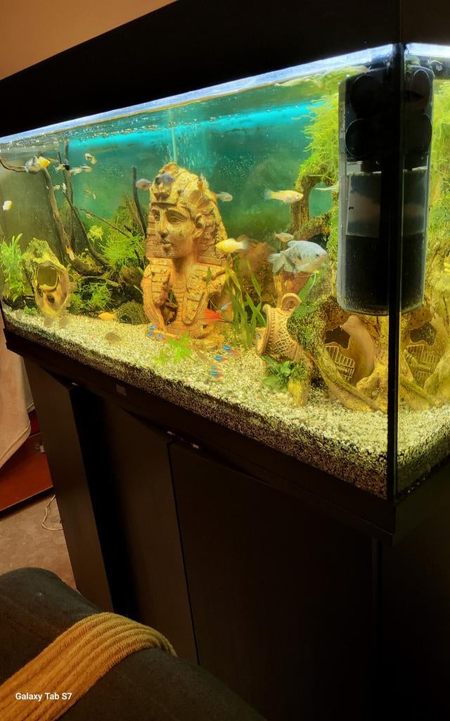 Aquarium juwel met meubel en toebehoren incl.vissen, Ophalen, Verwarming, Oase