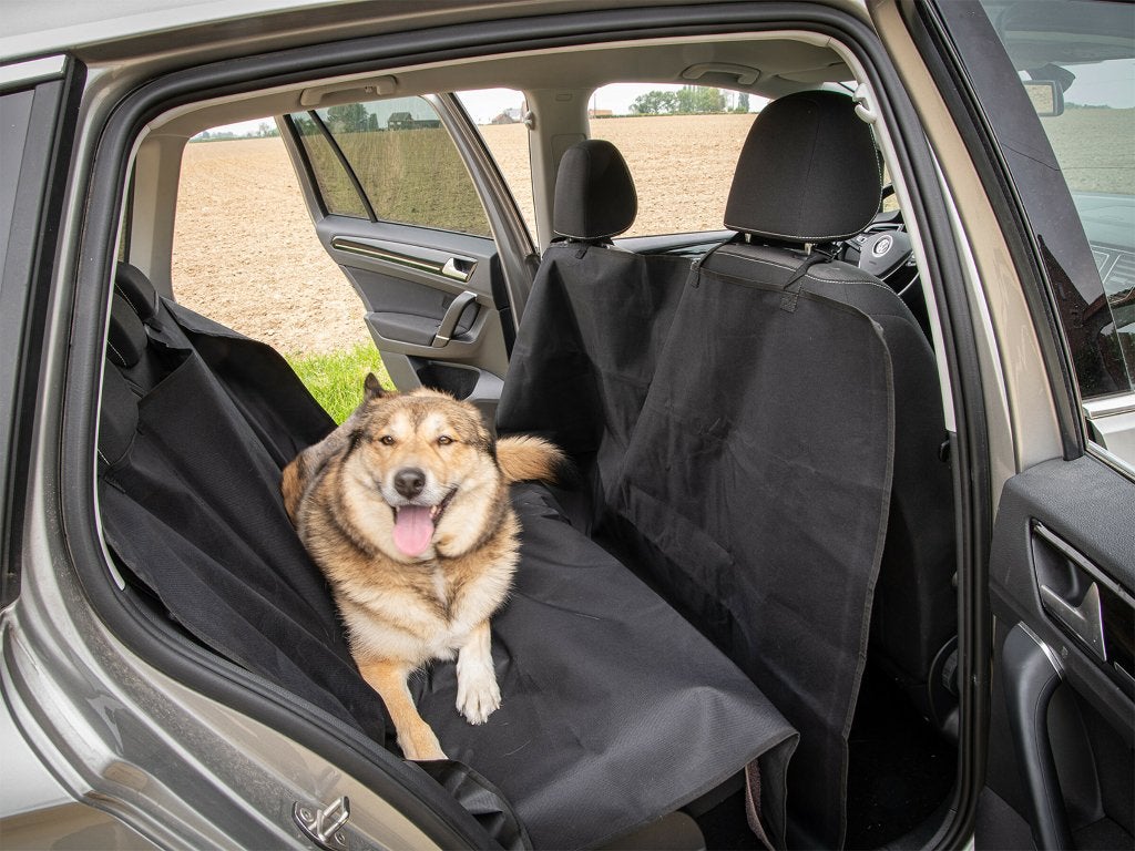 Lot / partij universele zetelbeschermingen voor auto (NIEUW), Dieren en Toebehoren, Ophalen of Verzenden, Nieuw