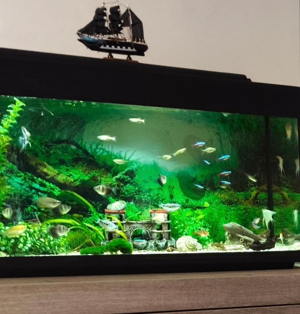 Aquarium met meubel 100L, Ophalen, Verwarming, Zo goed als nieuw, Verlichting of Verwarming