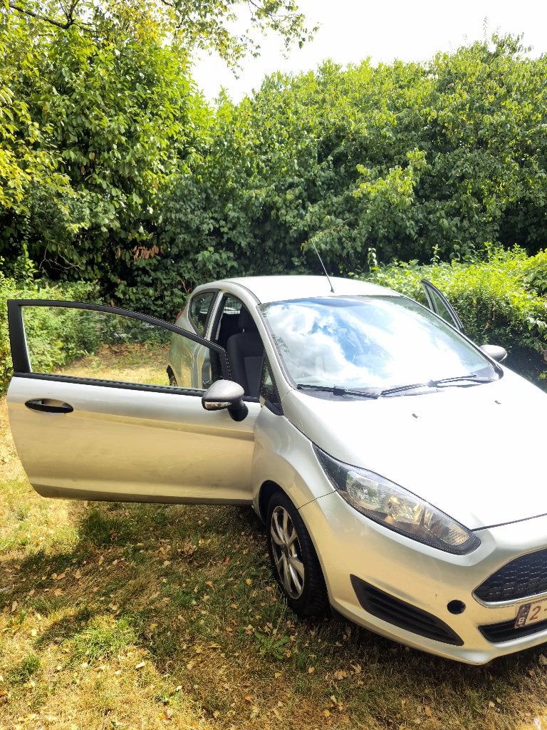 Ford fiesta. 2017, Autos, Argent ou Gris, Achat, Boîte manuelle, 2 portes
