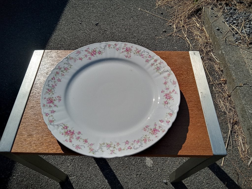2 schotels PORSELEIN  ' Germany Elite Porzellan '  Puntgaaf, Ophalen of Verzenden