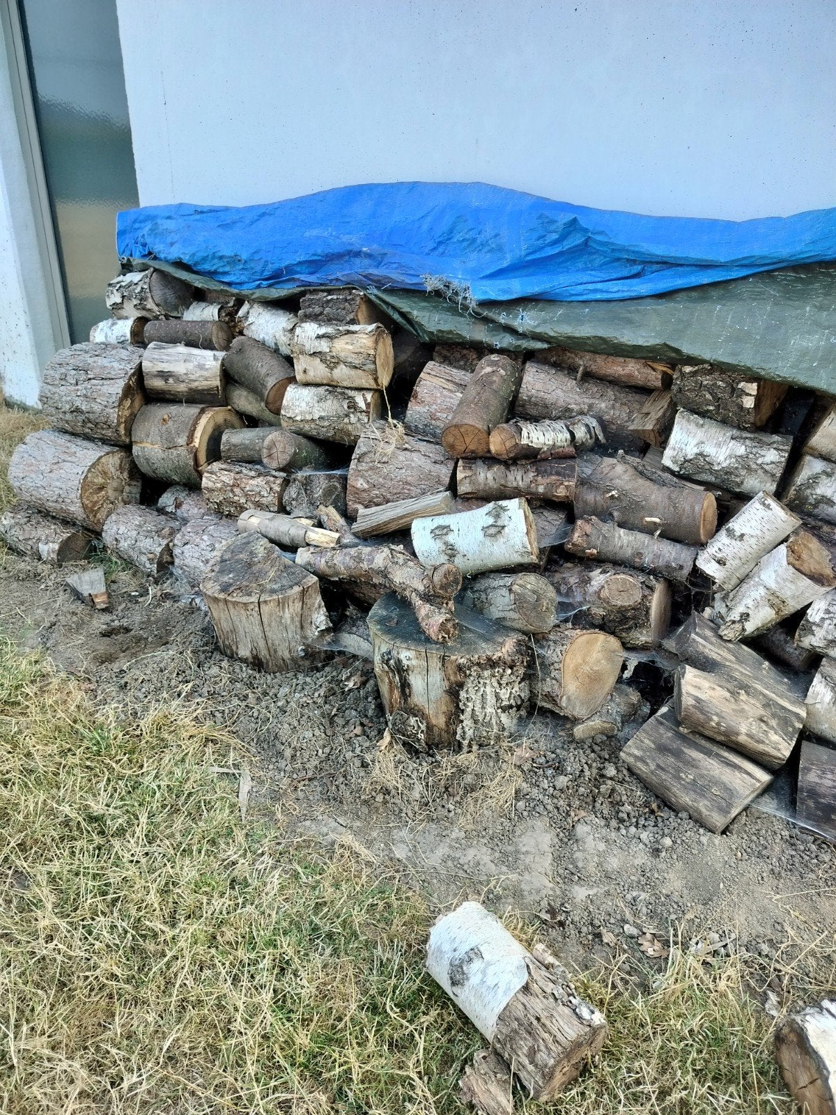 à vendre bois sec mixte à ramasser 50€/g, Jardin & Terrasse, Gravier, Rochers & Caillasse, Enlèvement