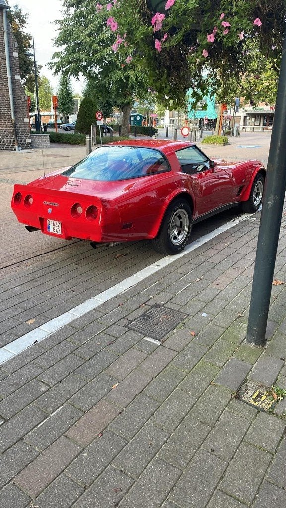 Corevettec3 1980 coupe L82, foto 8