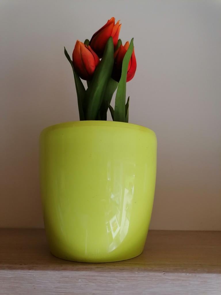 Pot à fleurs vert citron Elho diamètre 14, Enlèvement