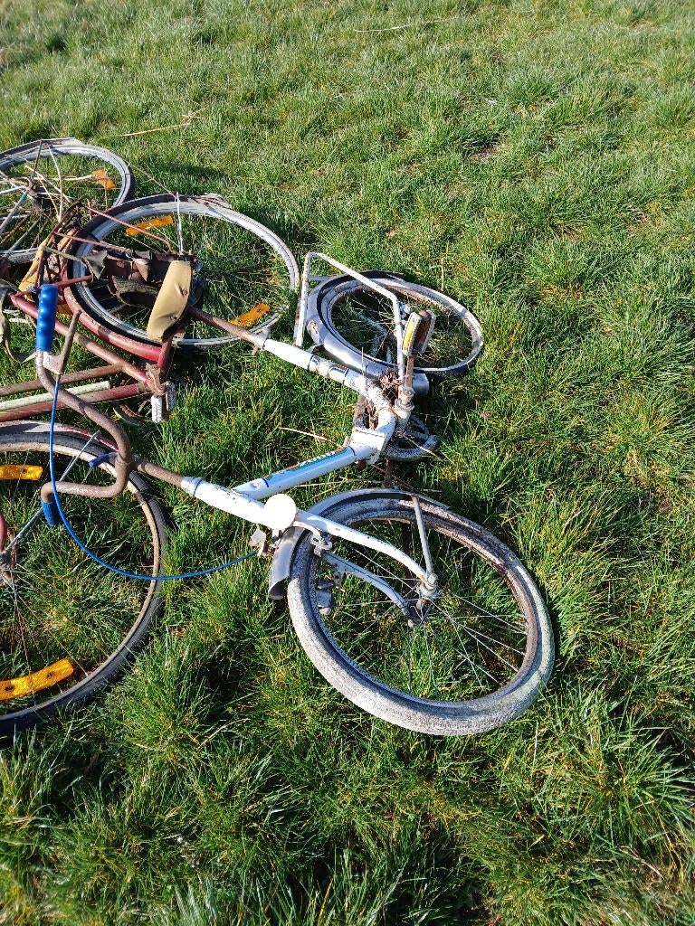 Vieux vélos, Vélos & Vélomoteurs, Enlèvement