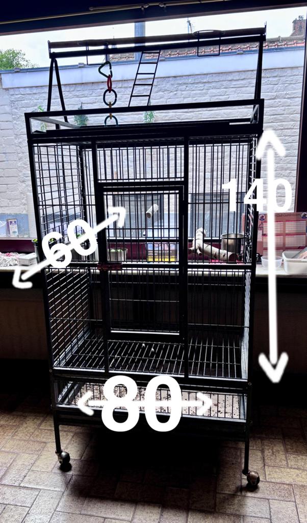 Belle cage perroquet, Enlèvement, Utilisé, Autres matériaux