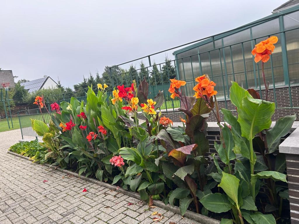 canna's, Tickets & Billets, Loisirs | Jardins zoologiques