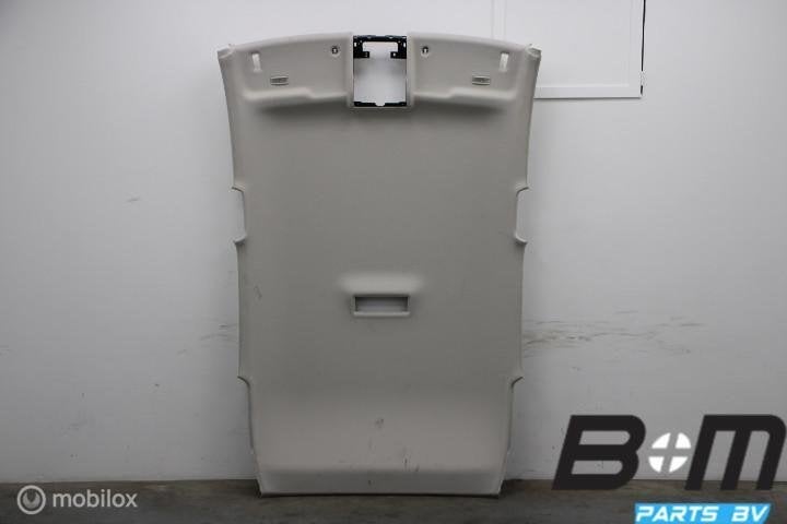 Hemelschaal VW Polo 2G 2G4867501B, Utilisé