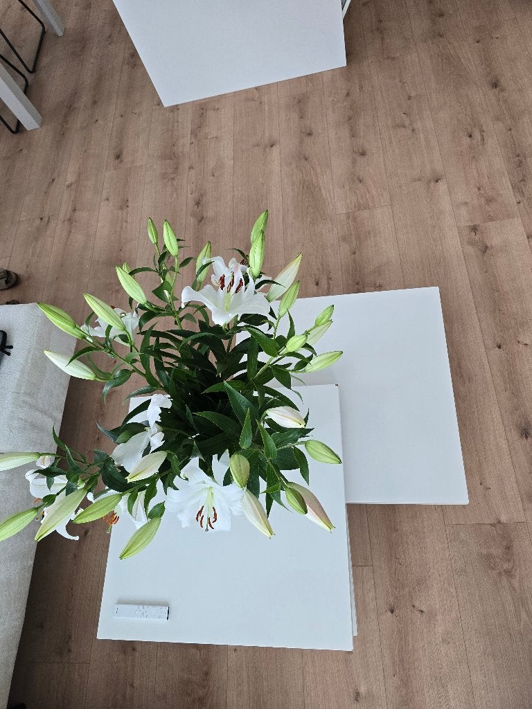 table basse, Maison & Meubles, 50 à 100 cm, Carré, Enlèvement, Utilisé