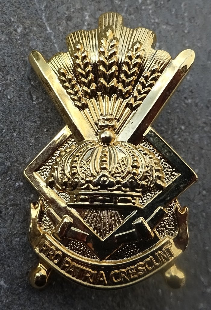 BELGIQUE: ABL / ECOLE DES CADETS - INSIGNE POUR CALOT, Envoi, Armée de terre, Emblème ou Badge