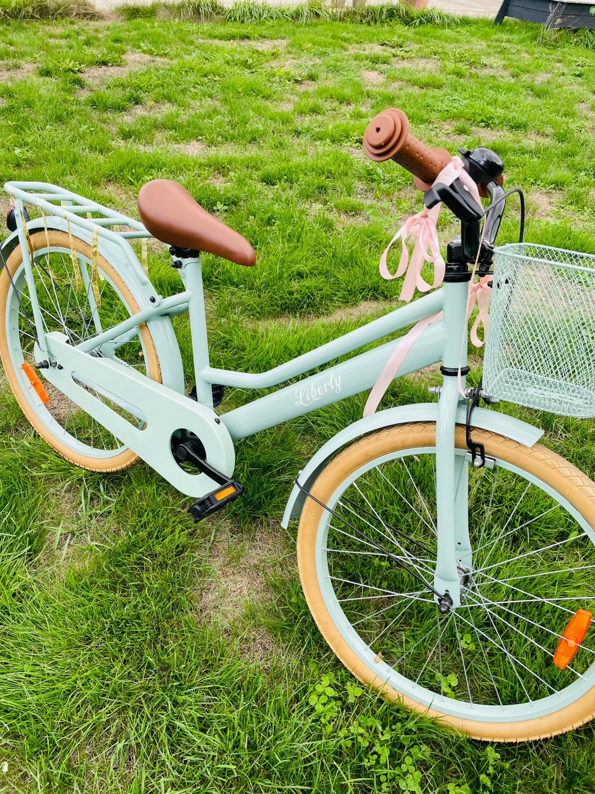 Meisjesfiets Cortego Liberty 22 inch mintgroen, Ophalen, Terugtraprem, 22 inch, Handrem