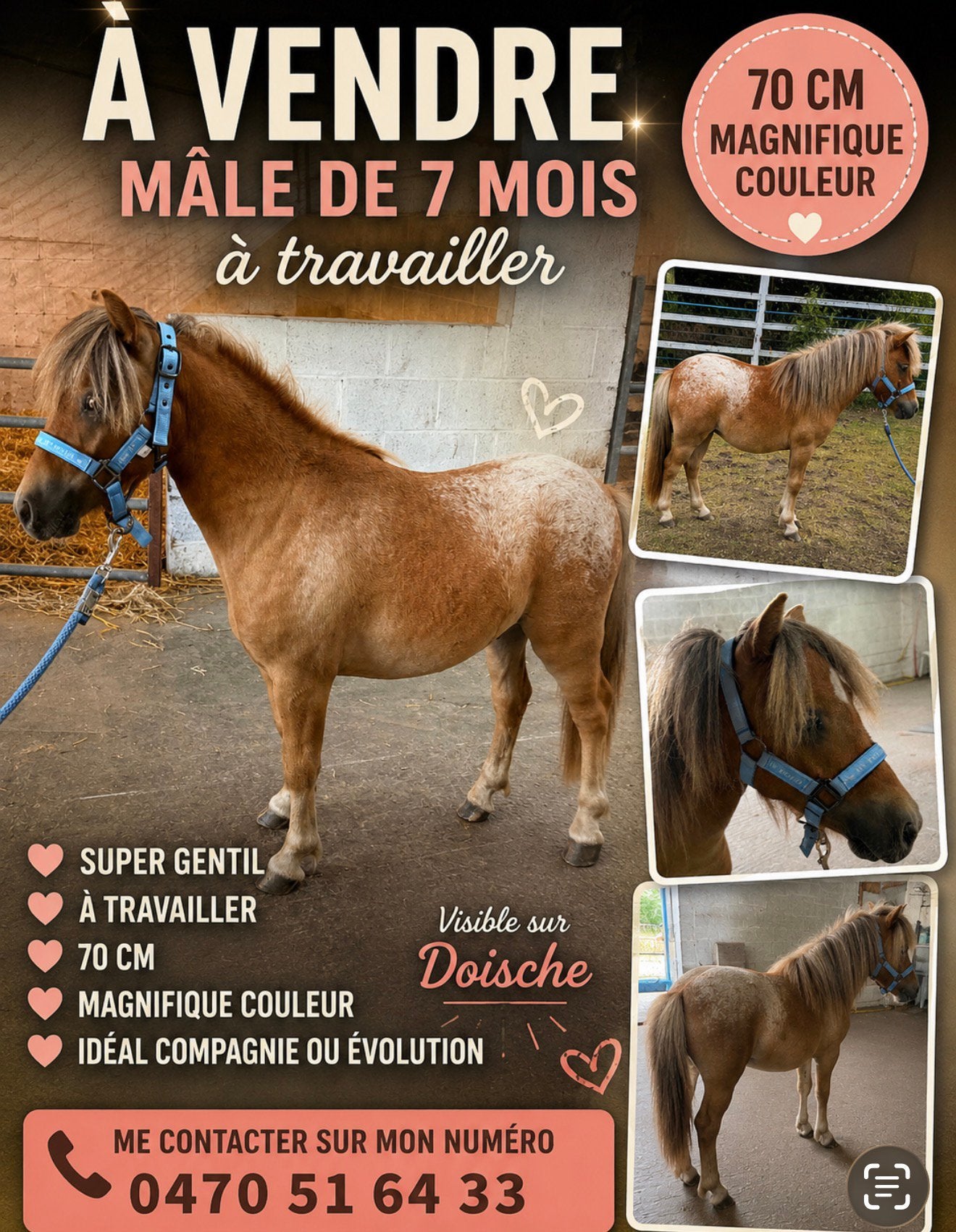 Petit mal de 7mois juste super beau, Enlèvement, Comme neuf