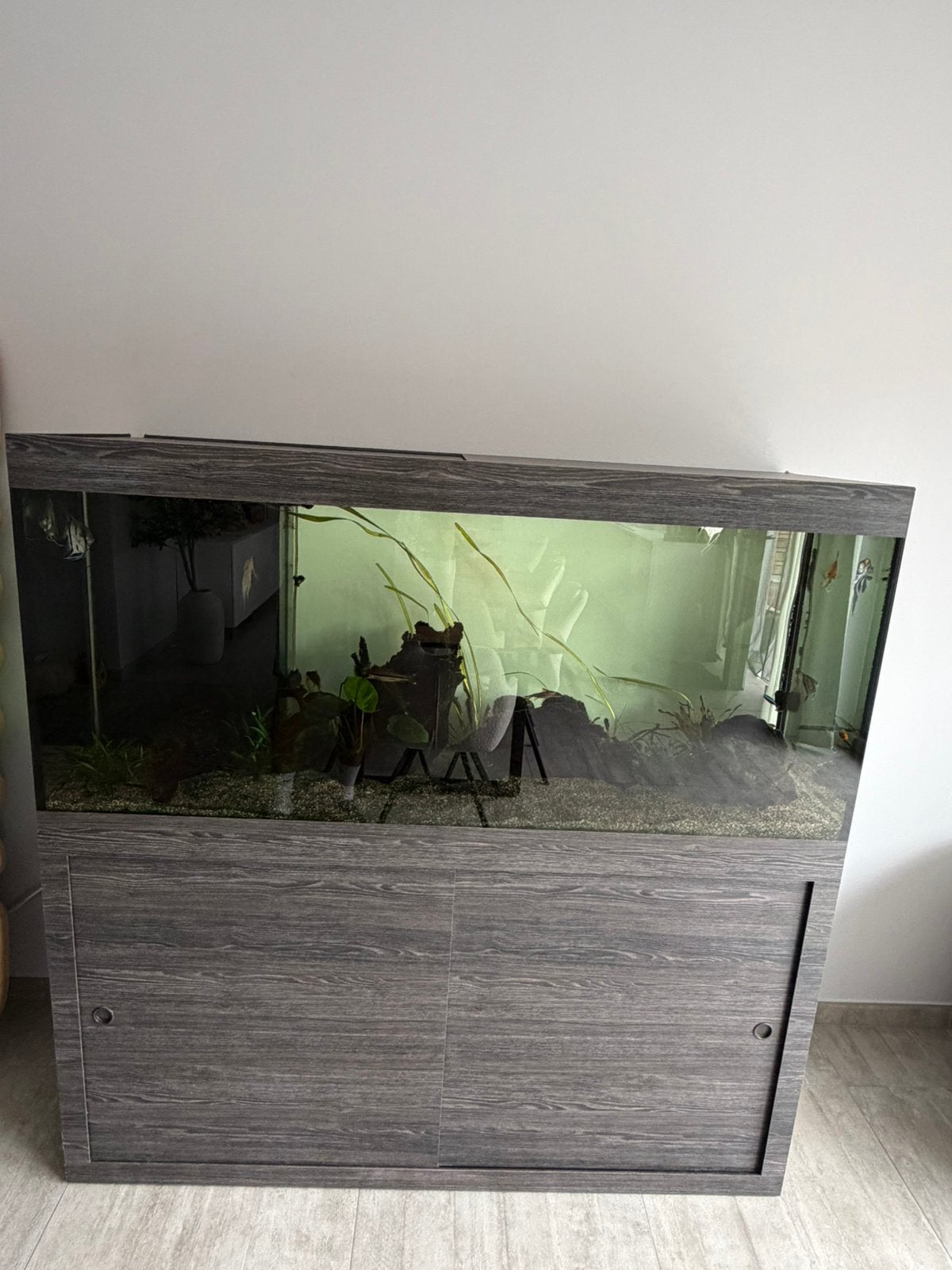 Aquarium, Enlèvement