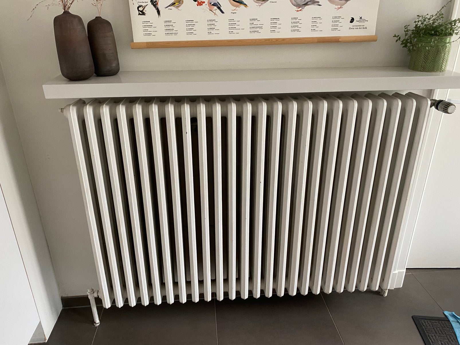 Gietijzeren radiator in goede staat, Ophalen, Zo goed als nieuw, Radiator
