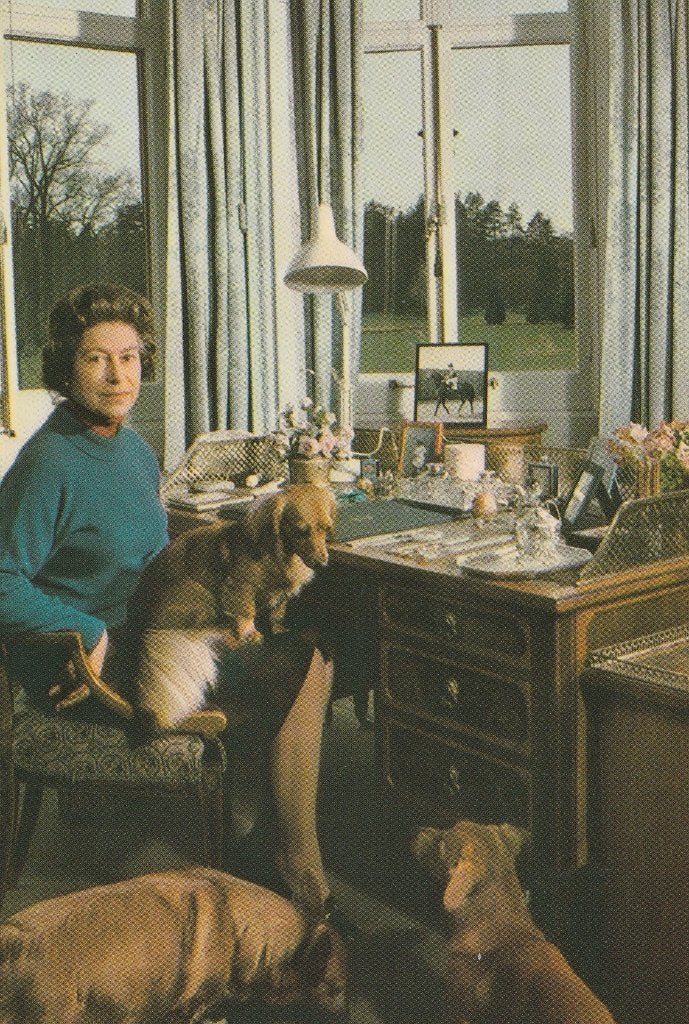 KONINGIN  ELISABETH  AAN  HAAR  BUREAU  MET  HAAR  HONDJES, Verzamelen, Verzenden, Ongelopen, Overige thema's