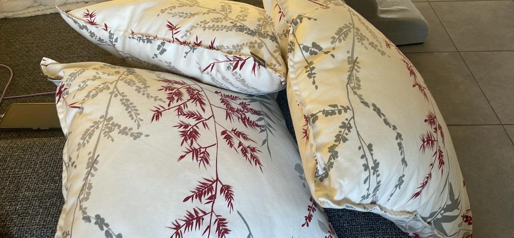 Coussin de chez Heytens, Huis en Inrichting, Woonaccessoires | Kussens, Ophalen, Zo goed als nieuw