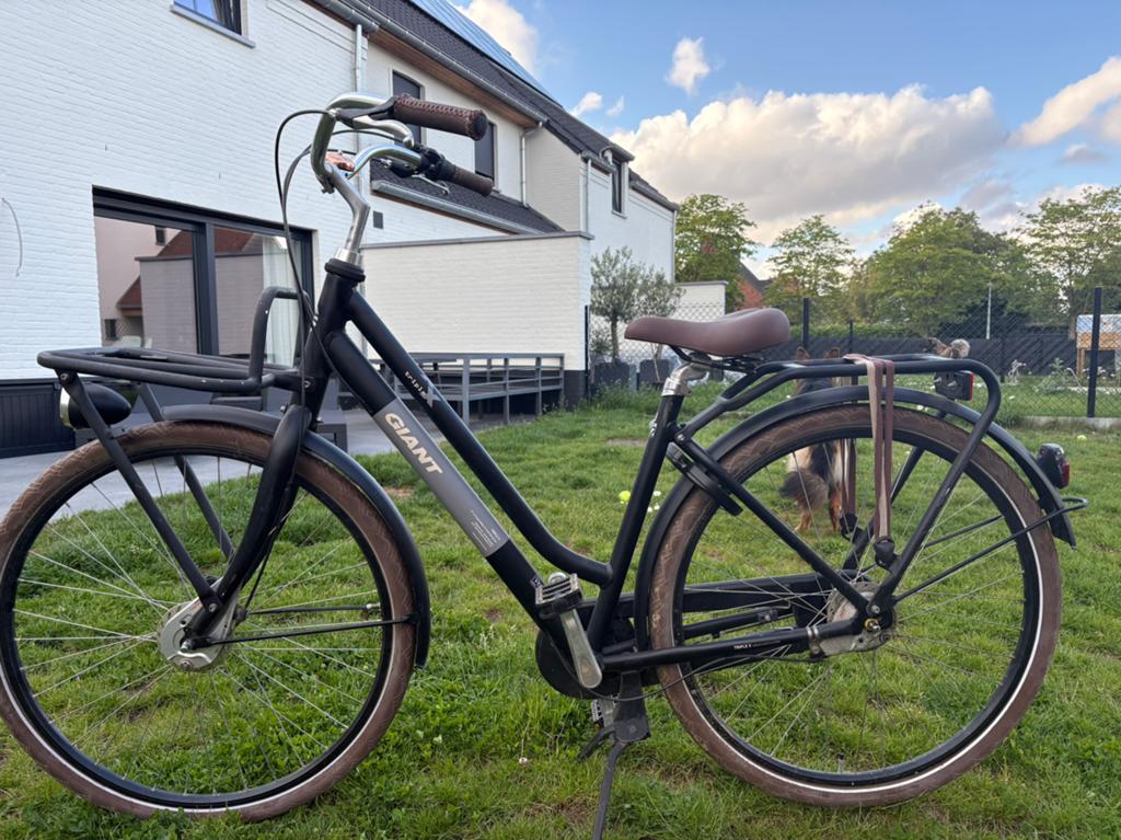 Giant fiets, Fietsen en Brommers, Fietsen | Racefietsen, Ophalen, Zo goed als nieuw, Giant