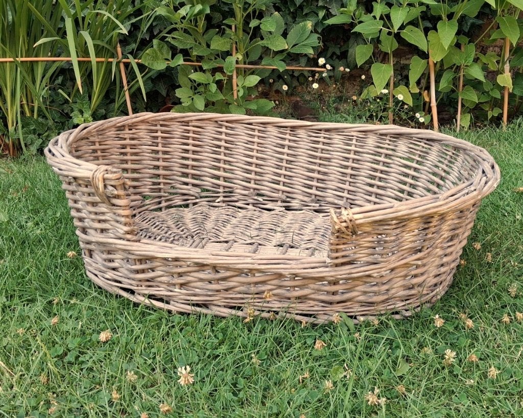 rotan hondenmand / kattenmand ovaal, Ophalen, Gebruikt, Riet