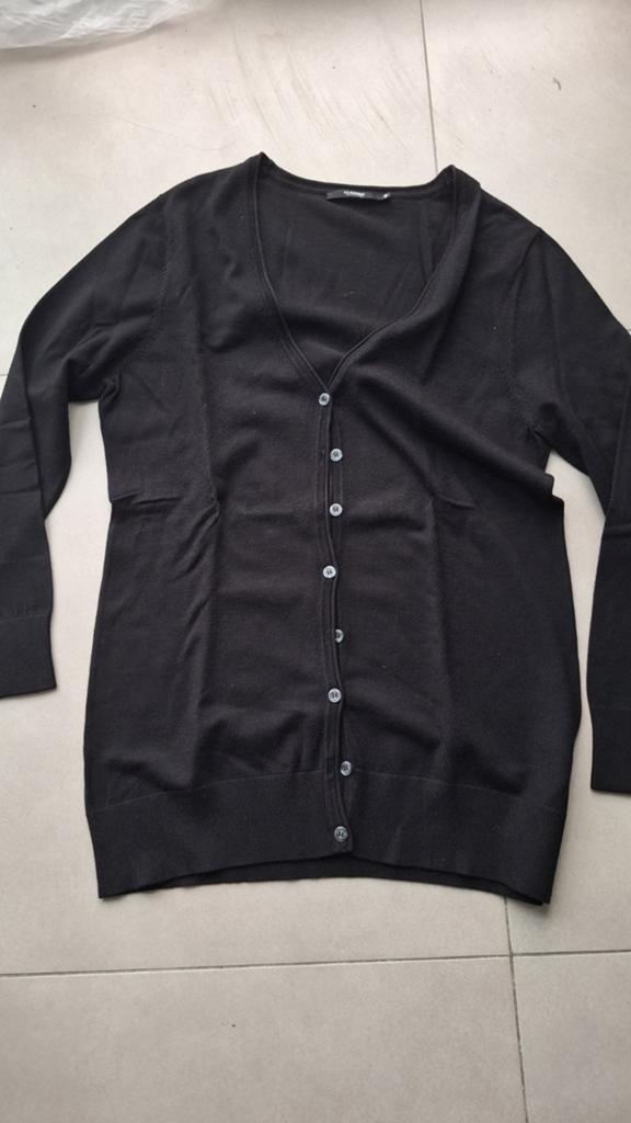 Trui Clarina, Kleding | Dames, Zwart, Maat 42/44 (L), Gedragen, Clarina
