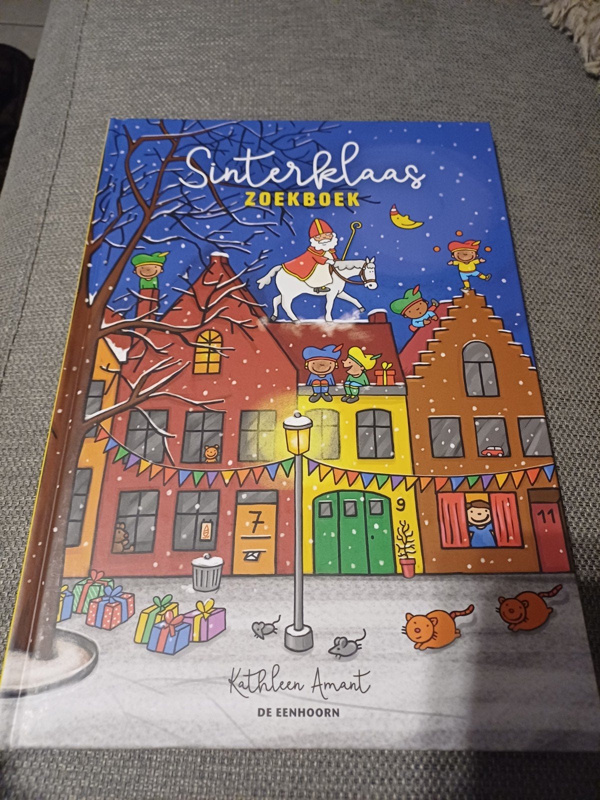 Zoekboek Sinterklaas Katleen Amant ( geen verzending geen dp, Livres, Enlèvement