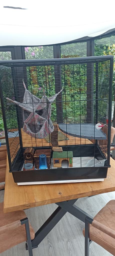 Rattenkooi met toebehoren, Dieren en Toebehoren, Knaagdieren en Konijnen | Hokken en Kooien, Kooi, Ophalen